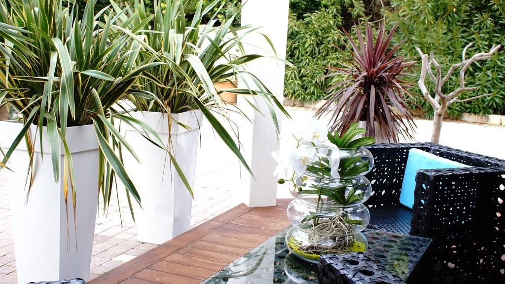 La Villa Blanche Sanary-sur-Mer Rom bilde